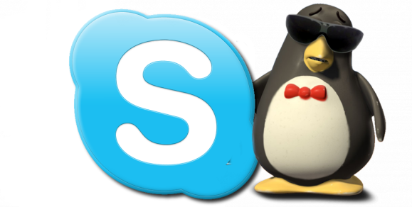 Debian 7 Wheeze Skype